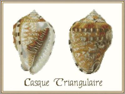 (image for) Shell Casque Triangulaire